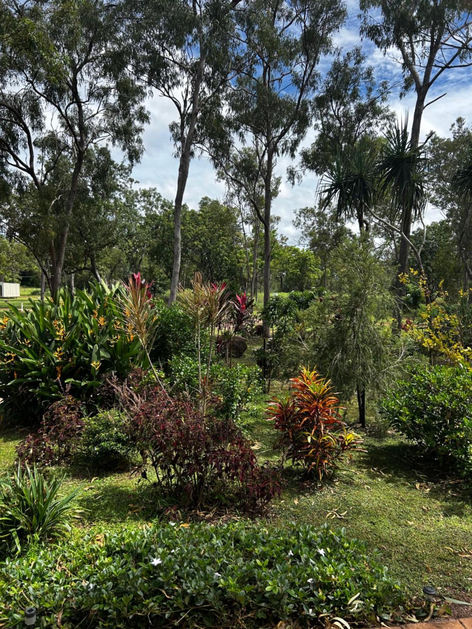 Litchfield Tropical Stay Batchelor Dış mekan fotoğraf