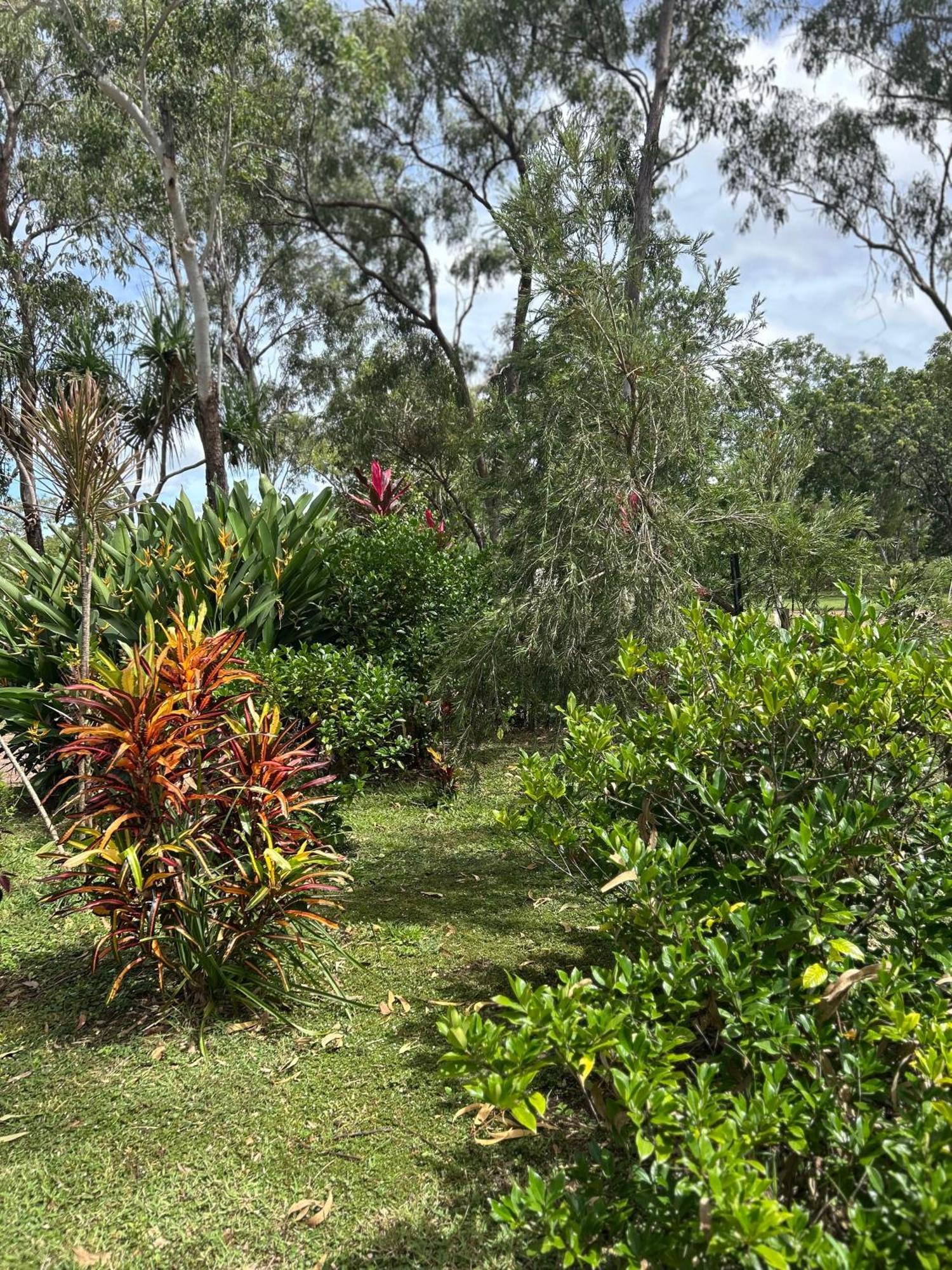 Litchfield Tropical Stay Batchelor Dış mekan fotoğraf
